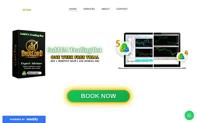 skyfxtrading.weebly.com snapshot