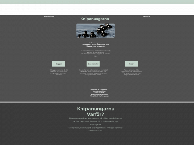 knipanungarna.nu snapshot