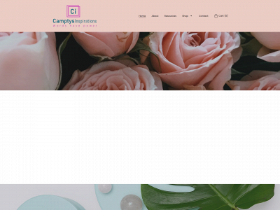 camptys.com snapshot