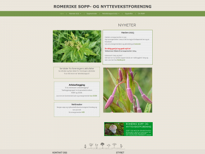 romerikesopp.net snapshot