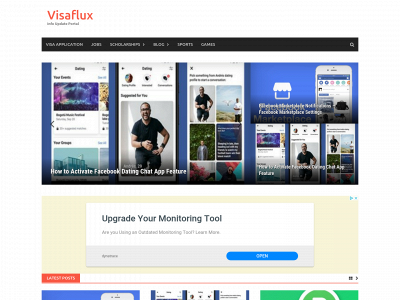 visaflux.com snapshot