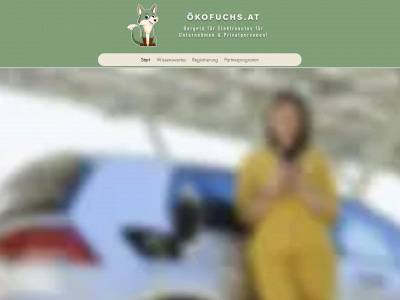oekofuchs.at snapshot
