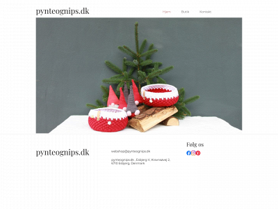 pynteognips.dk snapshot
