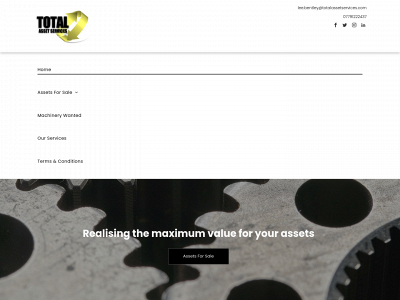 totalassetservices.com snapshot