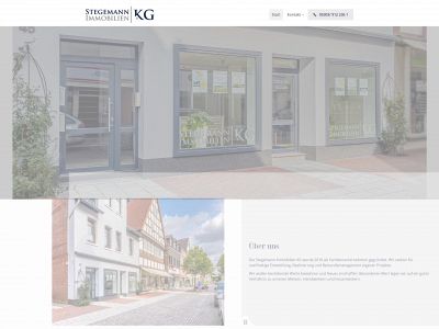 stegemann.immobilien snapshot