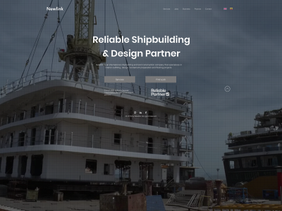 newlink.lt snapshot