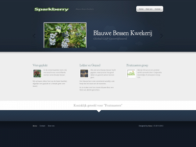 sparkberry.nl snapshot