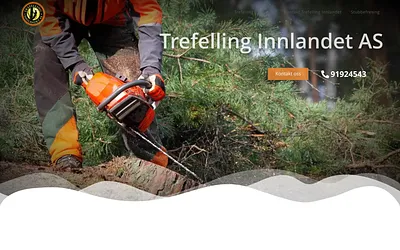 trefellinginnlandet.no snapshot
