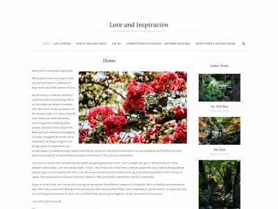 loveandinspiracion.com snapshot