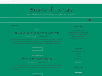 suzannaoflouisiana.com snapshot
