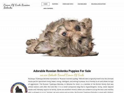 www.russianbolonkapuppies.com snapshot