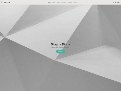 silvana.one snapshot