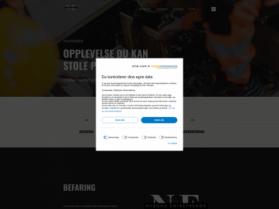 nyborgentreprenor.no snapshot