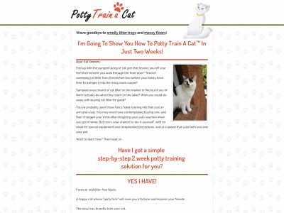 pottytrainacat.com snapshot