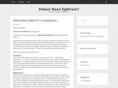 koleninasilegitirsin.com snapshot