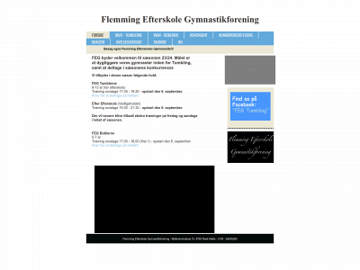 fegtumbling.dk snapshot