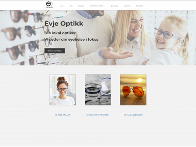 evjeoptikk.online snapshot