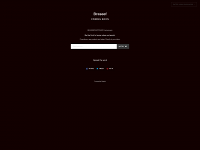 braseef.com snapshot