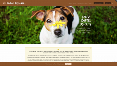 pawfectdogsense.com snapshot