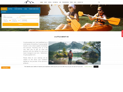co-group-global.com snapshot