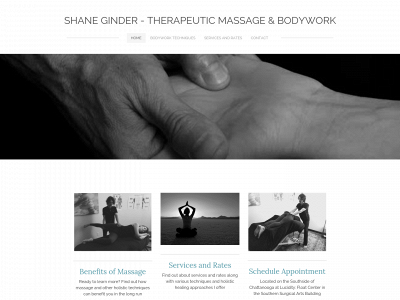 www.shaneginder.com snapshot