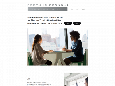 fortunaekonomi.se snapshot