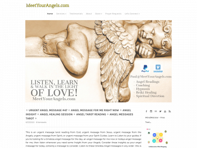 meetyourangels.weebly.com snapshot