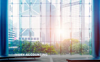 ivory-accounting.nl snapshot