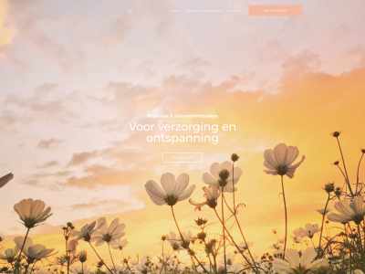pedicuresmit.nl snapshot