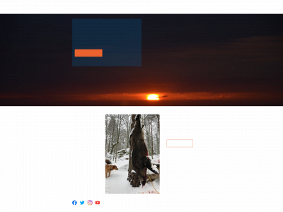 perfischer.dk snapshot