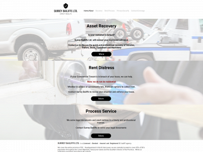 surreybailiffs.com snapshot