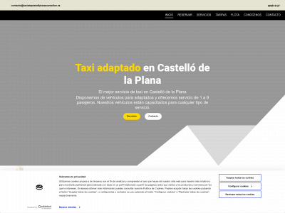 www.taxiadaptado8plazascastellon.es snapshot