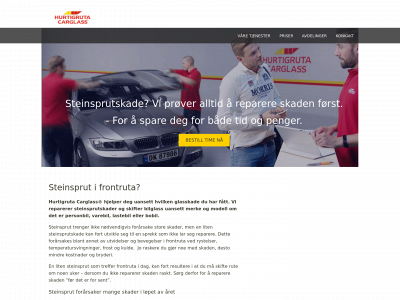 steinsprut.no snapshot