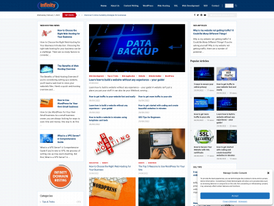 infinitydomainhost.com snapshot