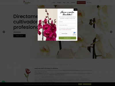 www.viverosproflorplantas.com snapshot