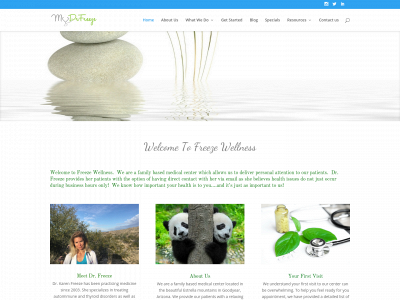 mydrfreeze.com snapshot