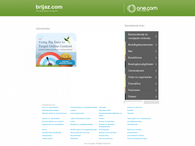 brijaz.com snapshot
