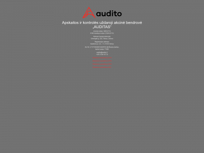 audito.lt snapshot