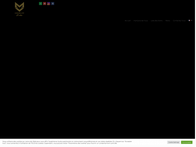 mvimmobilier.com snapshot