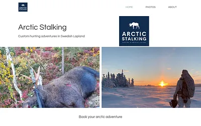 arcticstalking.com snapshot