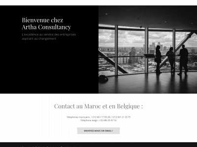 artha-consultancy.com snapshot