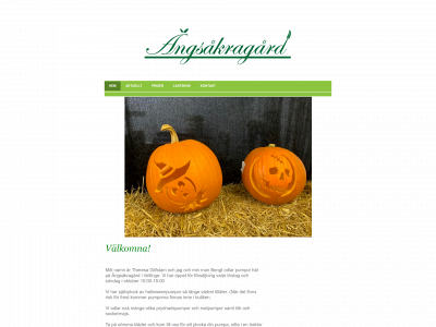 angsakra.se snapshot