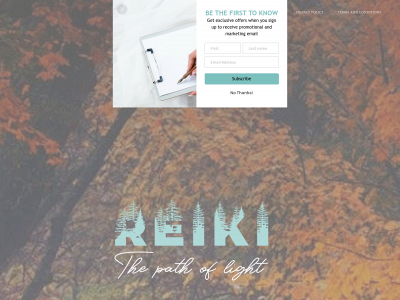 www.reikithepathoflight.com snapshot