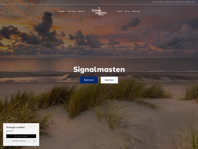 signalmastenagger.dk snapshot