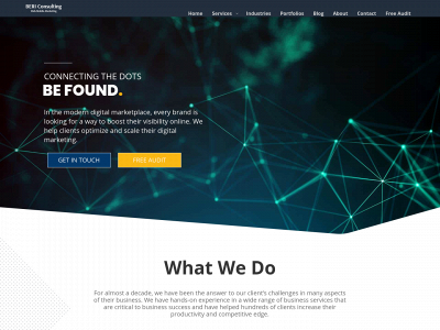 bericonsulting.com snapshot