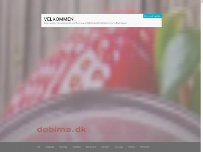 dobima.dk snapshot