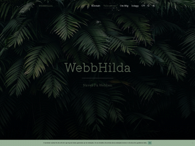 webbanalytikerhilda.com snapshot