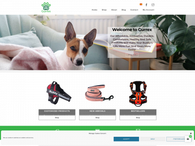 gurrex.com snapshot