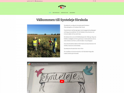 synteleje.se snapshot