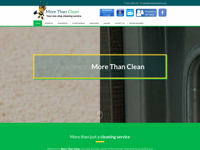 morethanclean.co.uk snapshot